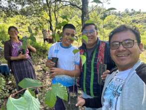 Reforestation