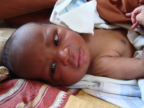 The Miracle of Life
