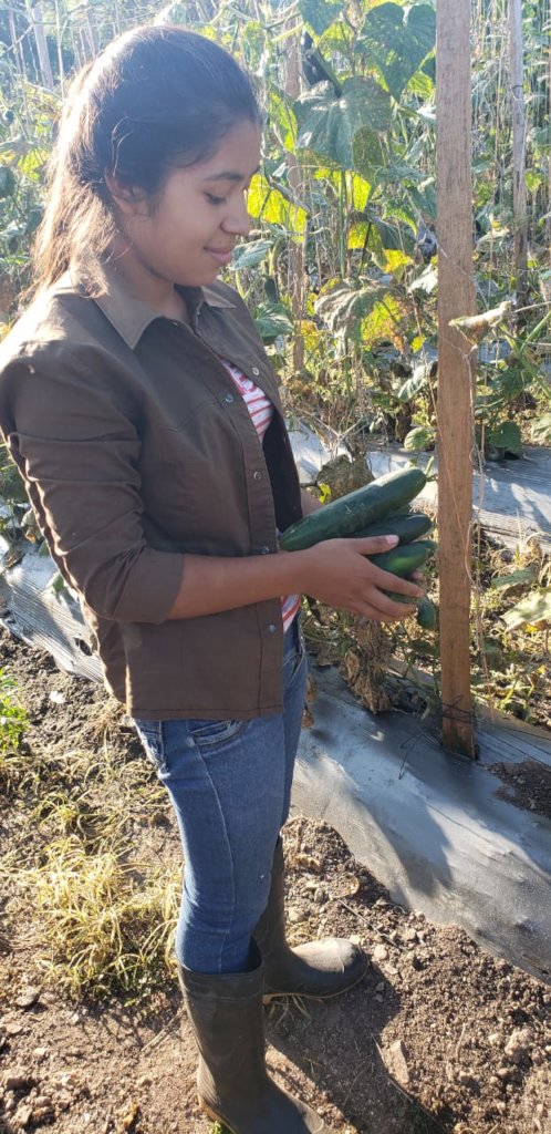 Learning agricultural techniques