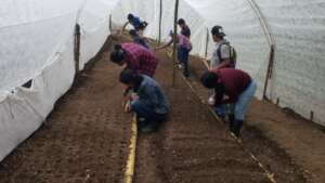 The college students and Plan Huertos in Honduras