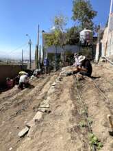Irrigated Plan Huerto in Peru