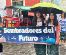 Reforestation for the future