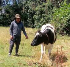 Plan Moo in Ecuador