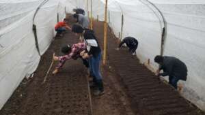 Agricultural techniques in Honduras