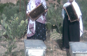 Help 20 Moroccan women support their community