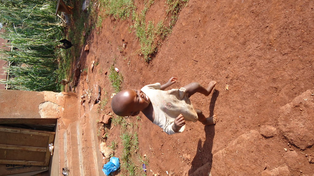 Improve the welfare of 300 ovcs in sironko uganda