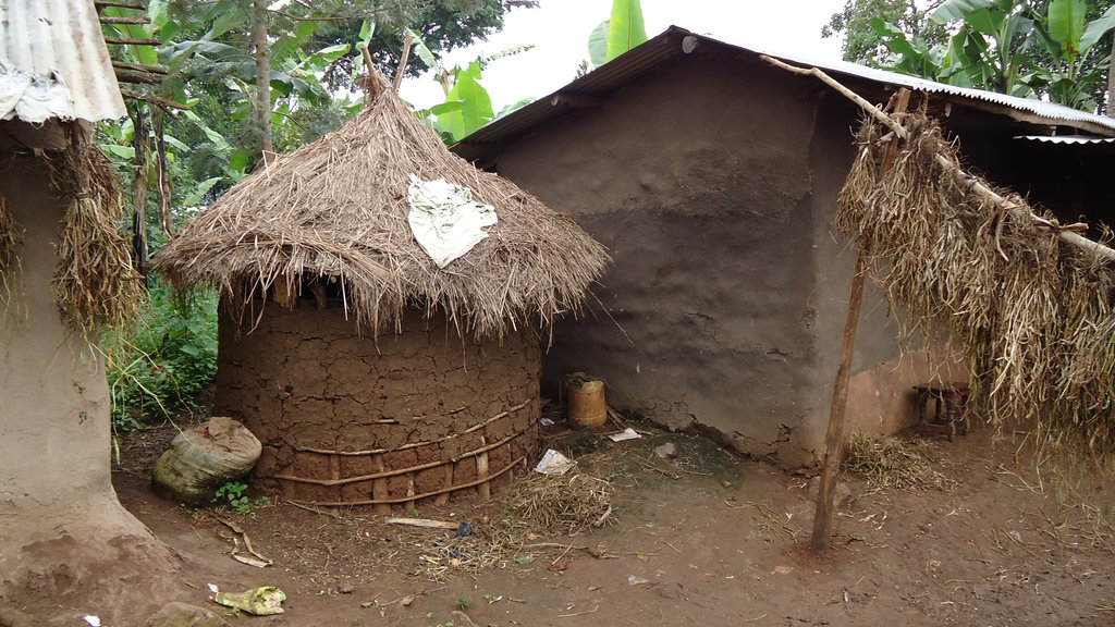 Improve the welfare of 300 ovcs in sironko uganda