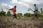 Long-term Development in Haiti