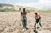 2 for 1: Safe Drinking Water & Planting Trees