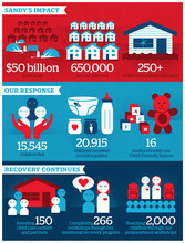 How You Helped Infographic