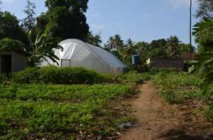 Greenhouse on the land