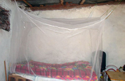 provide a mosquito net to safeguard a family