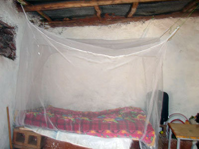 provide a mosquito net to safeguard a family