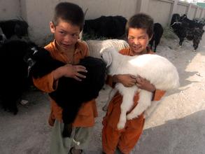 frm Photography workshop in Afghanistan