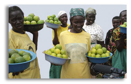 Selling Oranges