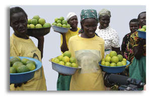 Selling Oranges