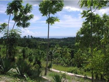 Haiti: Peasants for the Planet