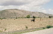 Haiti: Peasants for the Planet