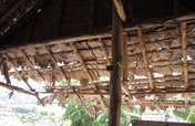 Provide a roof-Burma Refugee Camp Recovery Centre