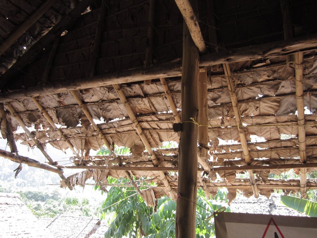 Provide a roof-Burma Refugee Camp Recovery Centre