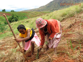 Women planting trees in rural village