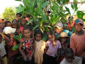 Stundets under a Zahana tree (real plant name)