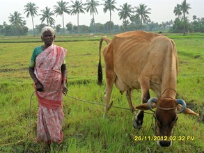 Mrs. A. Kaliyammal