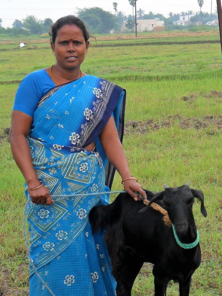 Mrs. K. Meena