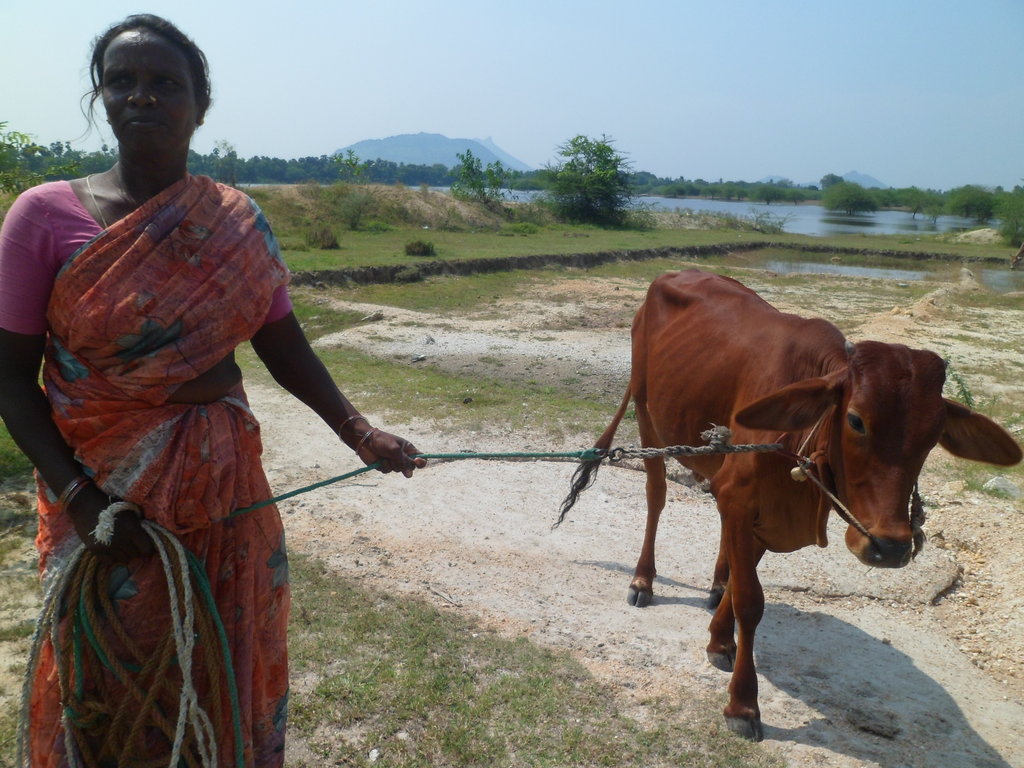 Women Empowerment Through Microfinance in India