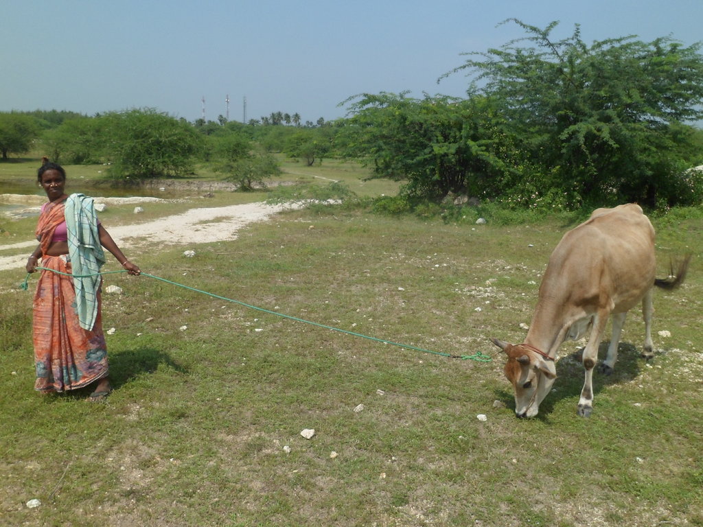 Women Empowerment Through Microfinance in India