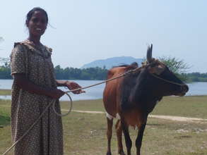 Women Empowerment Through Microfinance in India
