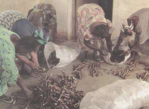 creating  sustainability