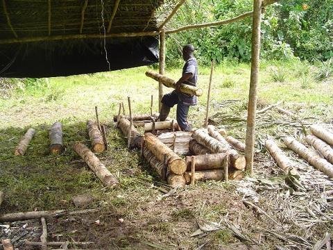 Restoring Forests for the People of Chocó
