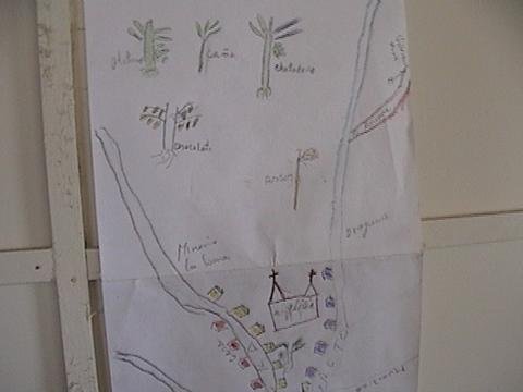 Restoring Forests for the People of Chocó