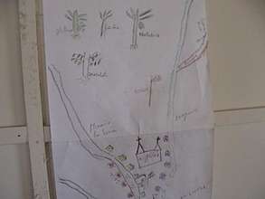 Mapping