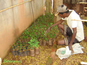 Jean Fiadanana's master gardner