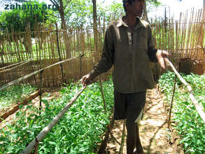 Seedlings grown by zahana's gardener