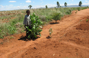 Help reward one man's reforestation efforts