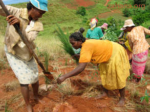 Women planting trees in Madagascar