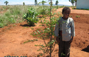 Help reward one woman's reforestation efforts