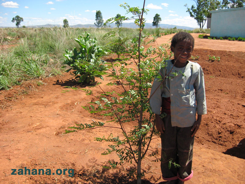 Help reward one woman's reforestation efforts