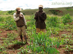 Maurice, who planted the most trees in 2012