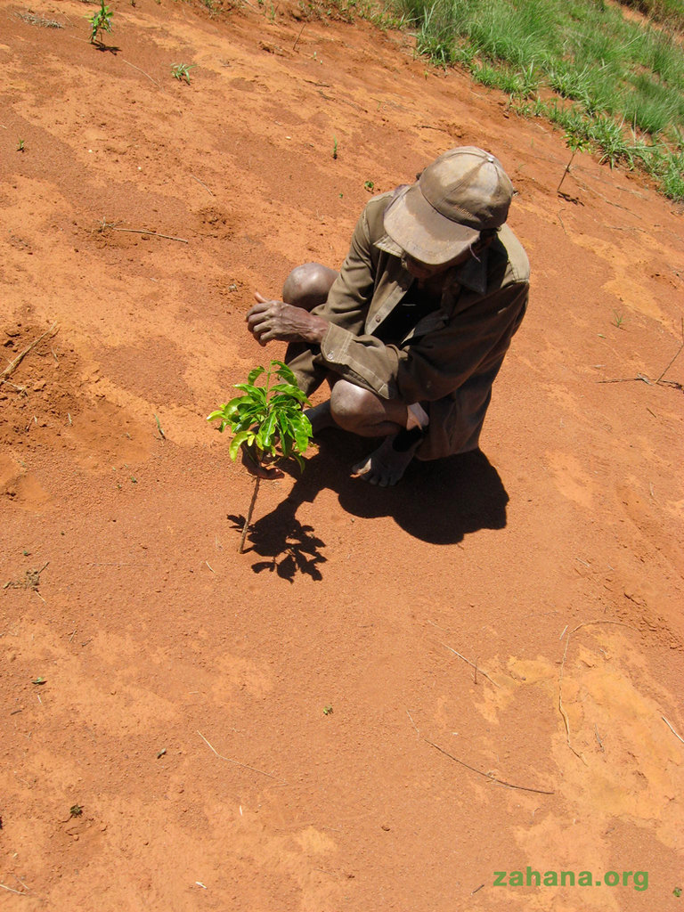 Help reward one man's reforestation efforts