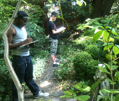 Green Interns: Mapmaking for Resilient Communities