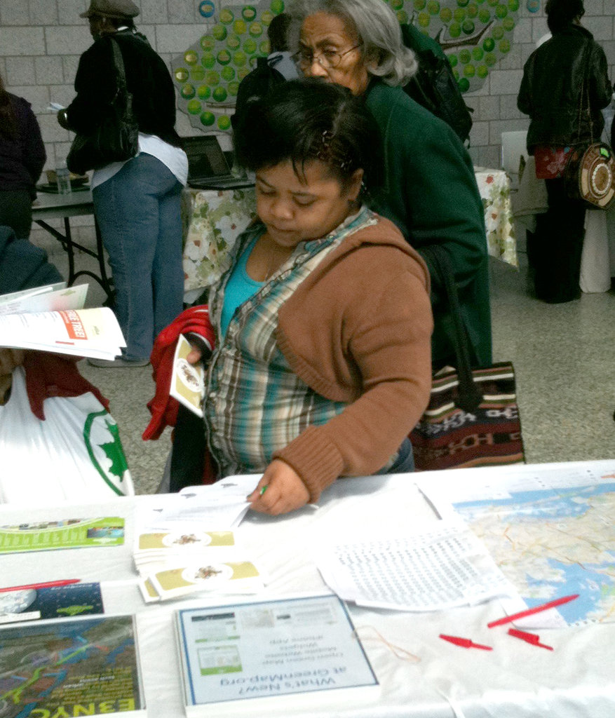 Green Interns: Mapmaking for Resilient Communities