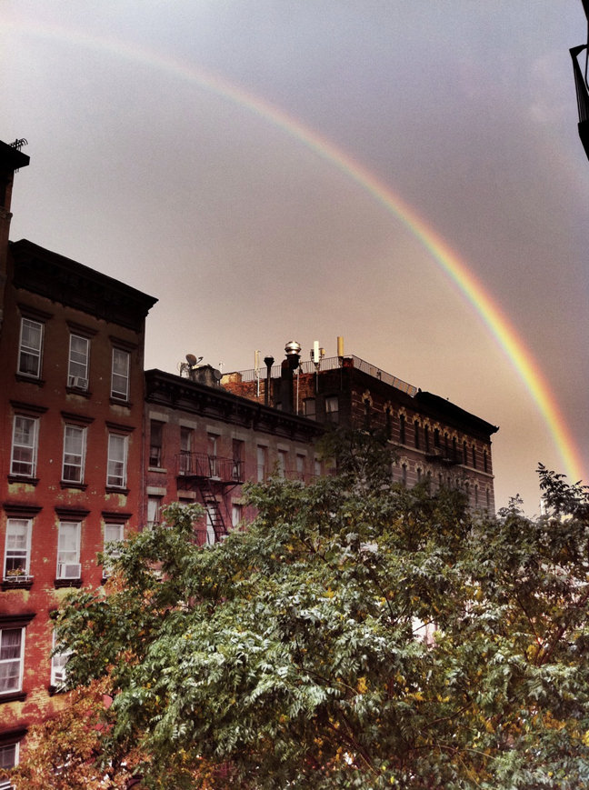 Green Interns: Mapmaking for Resilient Communities