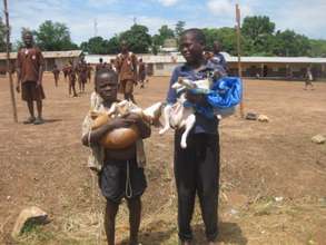 Vaccination Campaign on World Rabies Day 2010