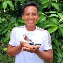 Misael and kestrel chambira palm fiber ornament