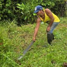 Mowing the lawn in Brillo Nuevo with a machete