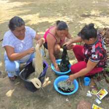Artisans at workshop dyeing chambira palm fiber